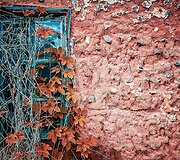 A.Verygos fotografijos