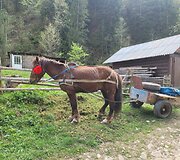 Irma ir Svajūnas veža paramą į Ukrainą bei keliauja po &scaron;alį 