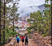 Tenerifė