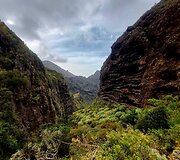 Kelionė į Tenerifę 