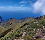 Kelionė į Tenerifę 