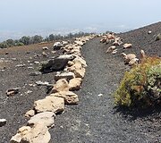 Kelionė į Tenerifę 