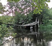 Barzdoto gido žygiai 