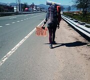 Miglės gyvenimas: kelionės, kalnai, žirgai