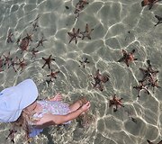 Martyno, Ievos ir jų dukters Anelės kelionė po Aziją 
