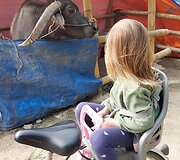Martyno, Ievos ir jų dukters Anelės kelionė po Aziją 