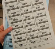 Pirmosios Amelijos Otkinskienės dienos Berlyno kino festivalyje