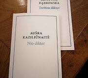 Didžiausias literatūrinis festivalis Skandinavijoje &bdquo;Littfest