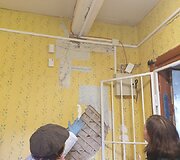 Polichrominių tyrimų atradimai