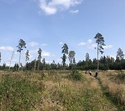 Žygio pėsčiomis &bdquo;Už &scaron;varią Lietuvą!&ldquo; akimirkos