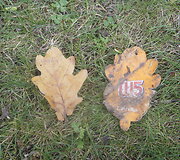 &bdquo;Vartojimo dėlionė&ldquo; atskleidė: gyvename geriau nei gyvens mūsų vaikai