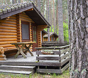 &bdquo;Auksinė giria&rdquo;