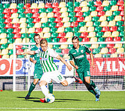 A lygos rungtynės: Vilniaus  &bdquo;Žalgiris&ldquo; - &bdquo;Kauno Žalgiris&ldquo;