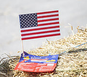Amerikieti&scaron;kos atostogos  Vilniuje