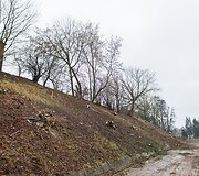 Senvagės atnaujinimo darbai