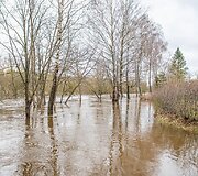 Patvinusi Lėvens upė Panevėžio rajone