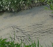Nuotraukos pavadinimas