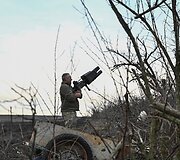 Ukrainos karys
