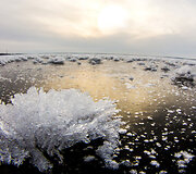 Nuotraukos pavadinimas
