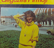 Istoriniai mezginiai