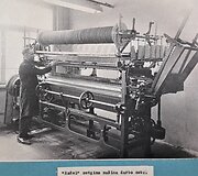 Istoriniai mezginiai