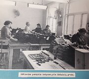 Istoriniai mezginiai