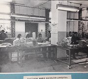 Istoriniai mezginiai