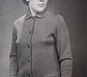 Istoriniai mezginiai