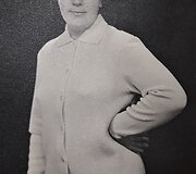 Istoriniai mezginiai