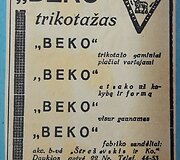 Istoriniai mezginiai