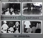 Istoriniai mezginiai