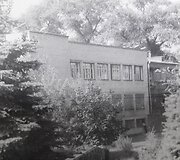 Istoriniai mezginiai