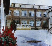 Istoriniai mezginiai