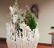 VU Botanikos sode jaunųjų floristų paroda