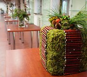 VU Botanikos sode jaunųjų floristų paroda