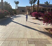Raminta_3