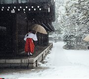 Pūga Tokijuje