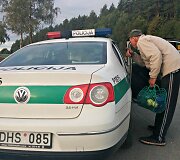 Avarijos vietoje