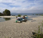 Negyva žuvis Cajititlano ežere