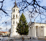 Vilniaus Kalėdų eglė jau Katedros aik&scaron;tėje