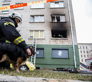Įvykio vietoje