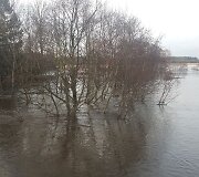 Pamaryje i&scaron; krantų i&scaron;siliejusios upės