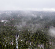 Mi&scaron;kas Panerių seniūnijoje, kurį norima paversti žvyro ir smėlio karjeru