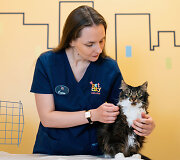 PetCity veterinarė