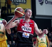 Darius Songaila
