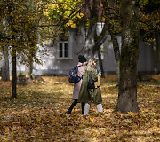 Sapiegų rūmų parkas 