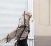 Į Vilnių sugrįžo balta žiema