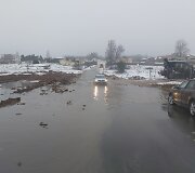 Bendorėlių 1-oji al.