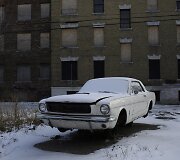 &bdquo;Ford Mustang&ldquo;