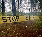 I&scaron;kirsti medžiai &scaron;alia Vilniaus vakarinio aplinkkelio